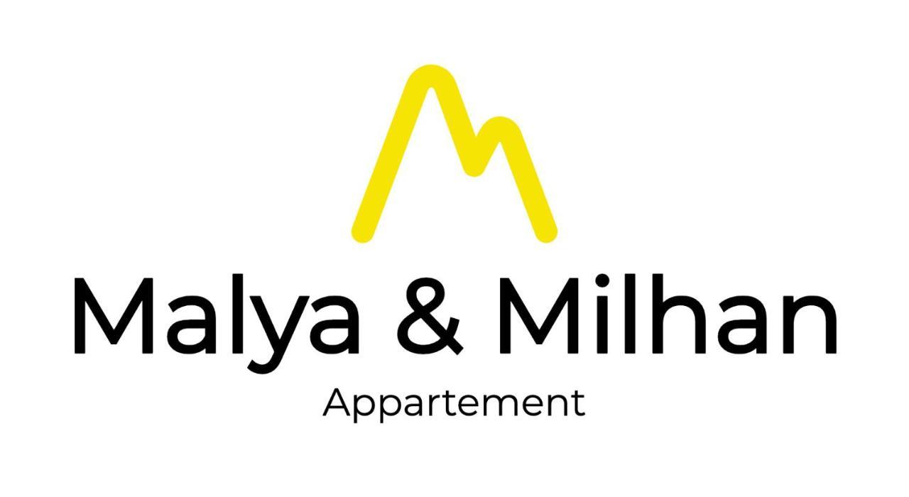 Appartement Malya & Parking Prive Grenoble Exteriör bild