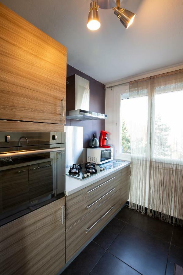 Appartement Malya & Parking Prive Grenoble Exteriör bild